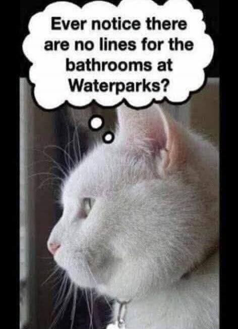 Ever notice there are no lines for the bathrooms at Waterparks?