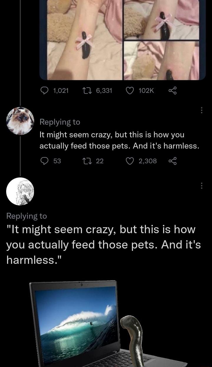 Q1021 e Q10K It might seem crazy but this is how you actually feed those pets And its harmless Replying to Q 53 Q Q 2308 It might seem crazy but this is how you actually feed those pets And its RETIEEER