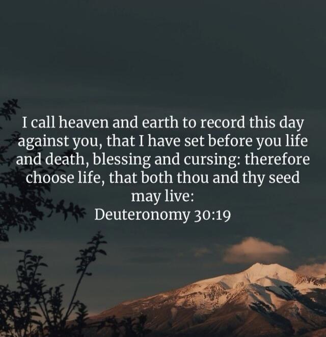 I call heaven and earth to record this day against you, that I have set before you life and death, blessing and cursing: therefore choose life, that both thou and thy seed may live: Deuteronomy 30:19