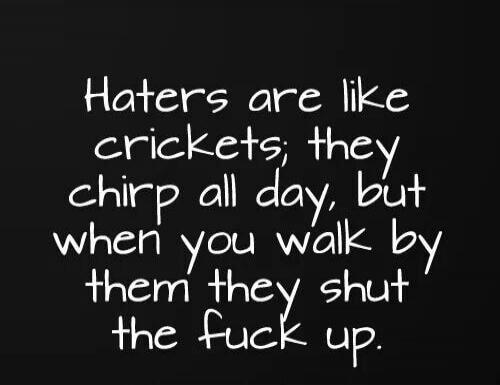 Haters are like crickets; they chirp all day, but when you walk by them they shut the fuck up.