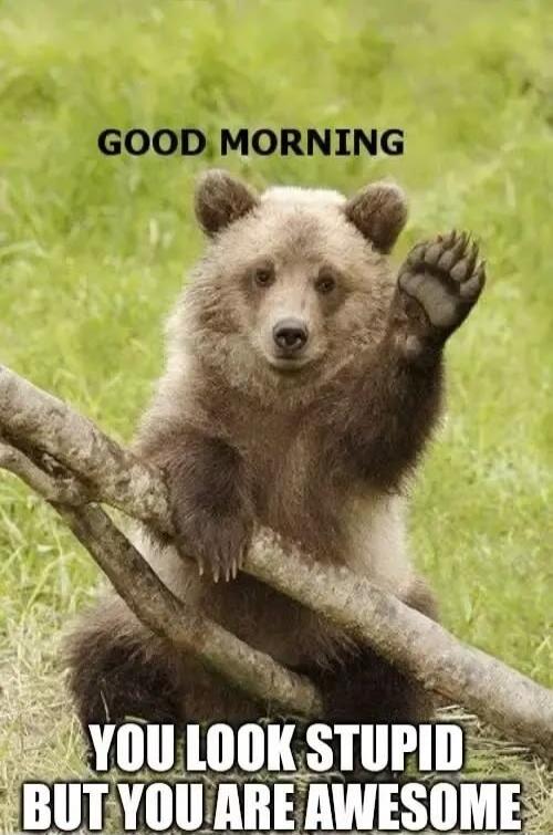 GOOD MORNING
YOU LOOK STUPID BUT YOU ARE AWESOME
