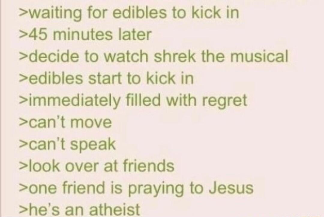waiting for edibles to kick in 45 minutes later decide to watch shrek the musical edibles start to kick in immediately filled with regret cant move cant speak look over at friends one friend is praying to Jesus hes an atheist