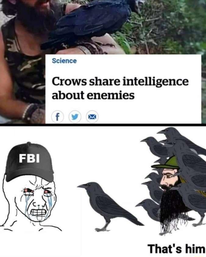 Science Crows share intelligence about enemies f v Thats him