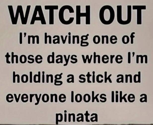 WATCH OUT I'm having one of those days where I'm holding a stick and everyone looks like a pinata