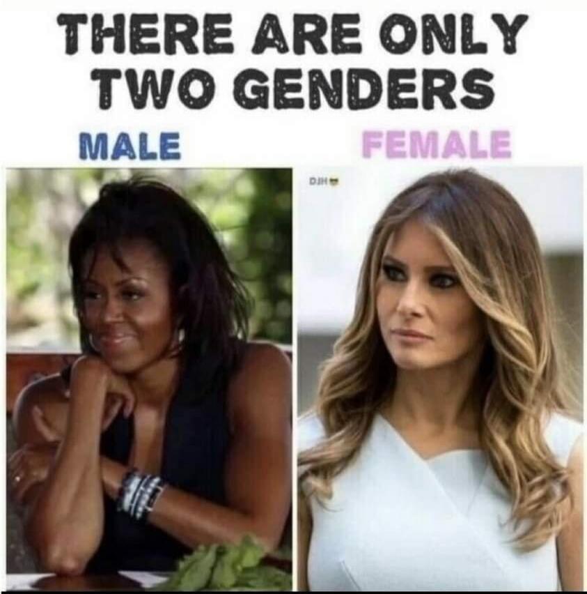 THERE ARE ONLY TWO GENDERS MALE FEMALE. The image shows Michelle Obama under the 'MALE' label and Melania Trump under the 'FEMALE' label.
