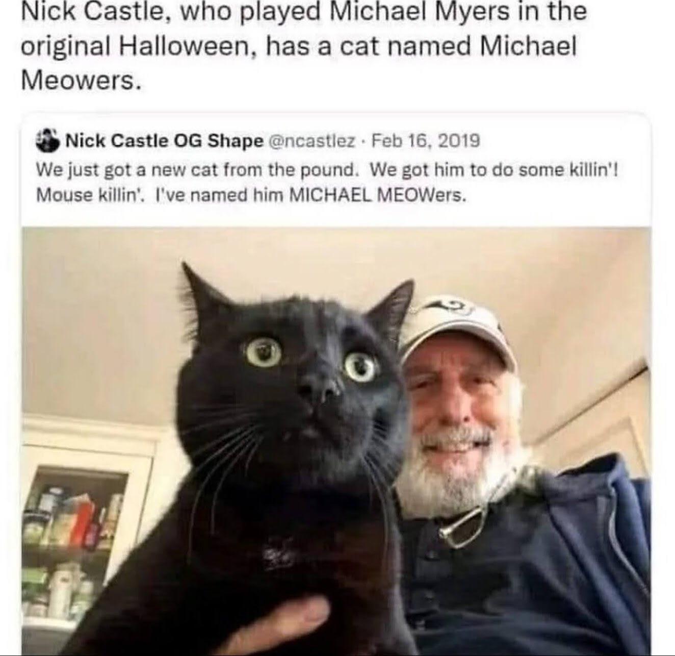 Nick Castle who played Michael Myers in the original Halloween has a cat named Michael Meowers Nick Castle OG Shape ncastiez Feb 16 2019 We just got a new cat from the pound We got him to do some killin Mouse killin Ive named him MICHAEL MEOWers