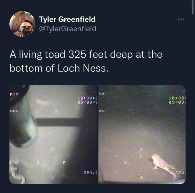 Tyler Greenfield TylerGreenfield A living toad 325 feet deep at the Telatelyy el M NeTel W 10138 a57as 1637 02062022 Twitter Web App X LREVER O e 2ROV CRITEE Ol kLRI Q T L J