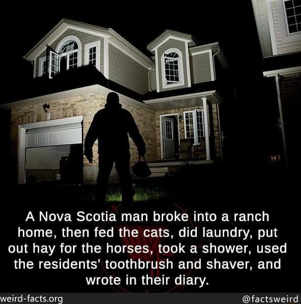 L RS ENED R GUCR L GER EUTo home then fed the cats did laundry put out hay for the horses took a shower used LUERESGEY SR GLIG LT DG BV AL wrote in their diary weird factsorg factsweird