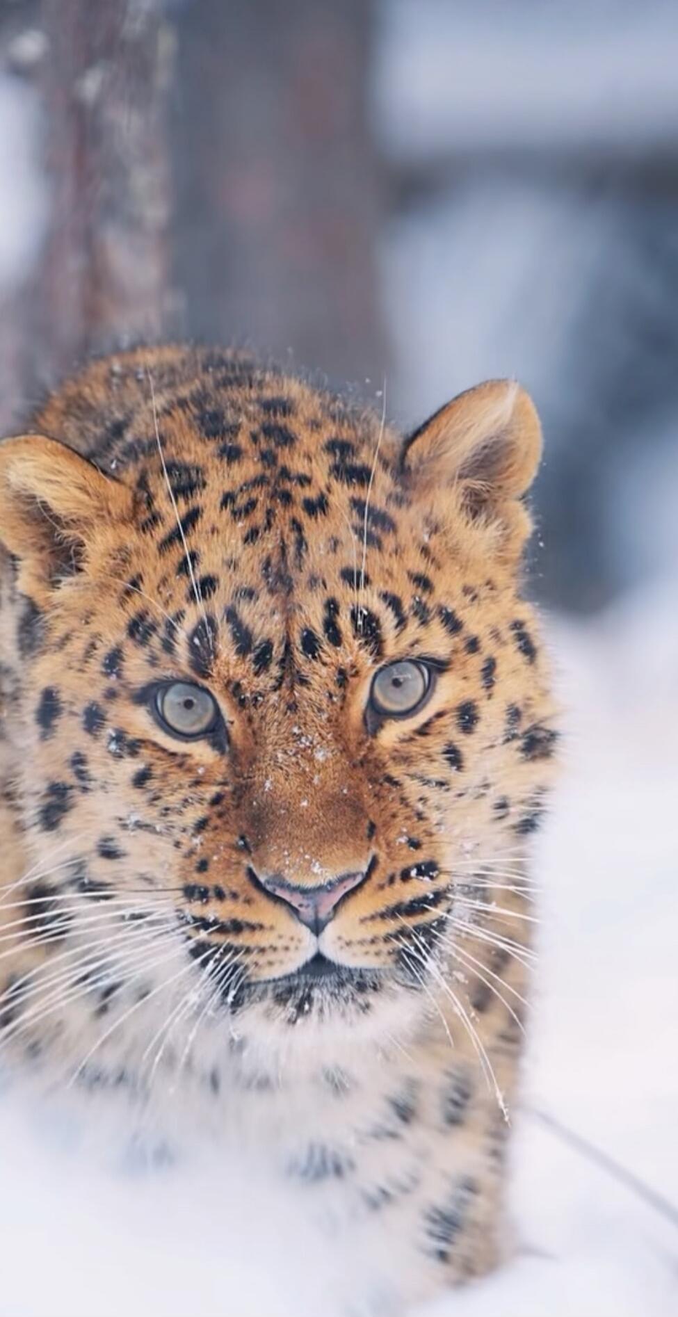 Session ID: 1089402.