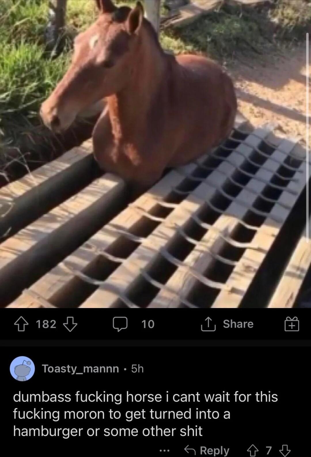 182 I 10 I Share 3 Toasty_mannn 5h dumbass fucking horse i cant wait for this fucking moron to get turned into a hamburger or some other shit Reply 7