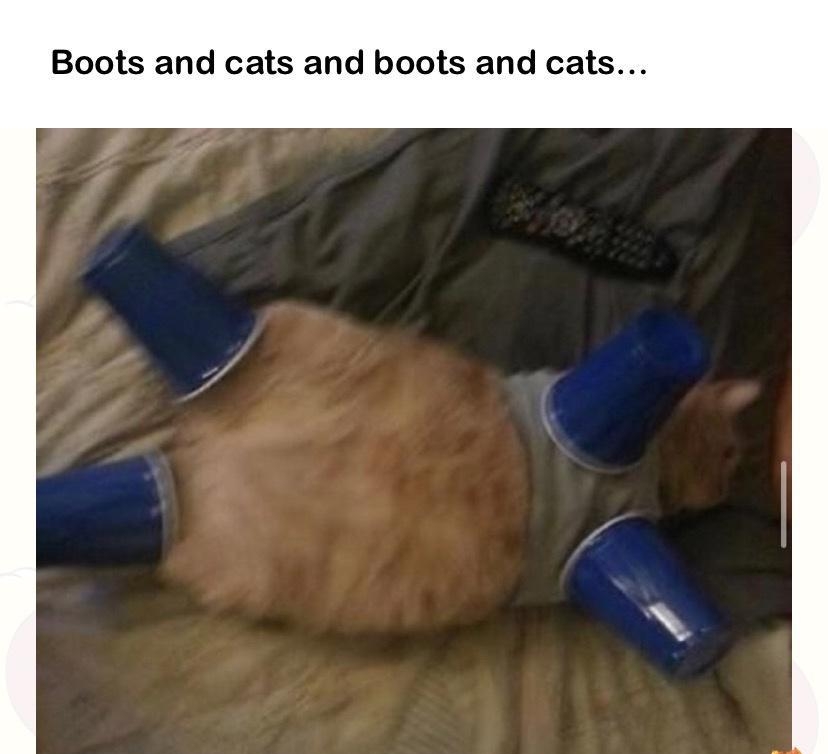 Boots and cats and boots and cats