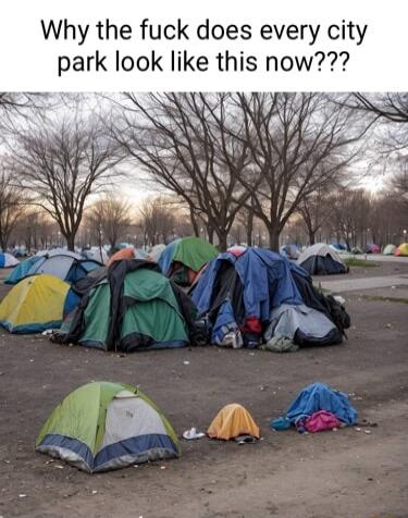 Why the fuck does every city park look like this now