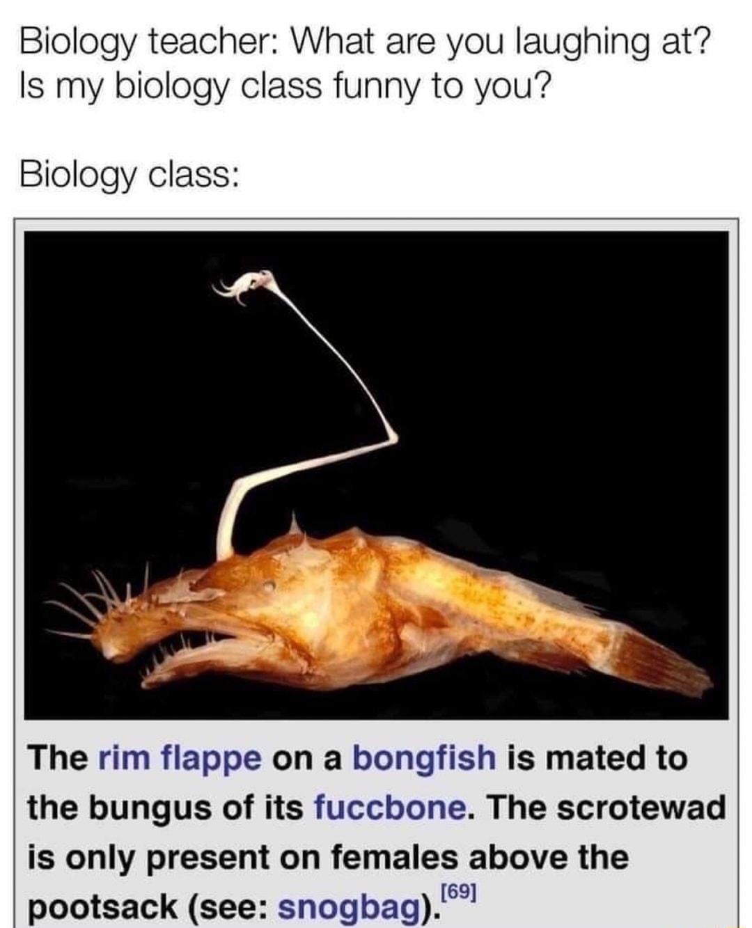 Biology teacher What are you laughing at Is my biology class funny to you Biology class The rim flappe on a bongfish is mated to the bungus of its fucchone The scrotewad is only present on females above the pootsack see snogbag