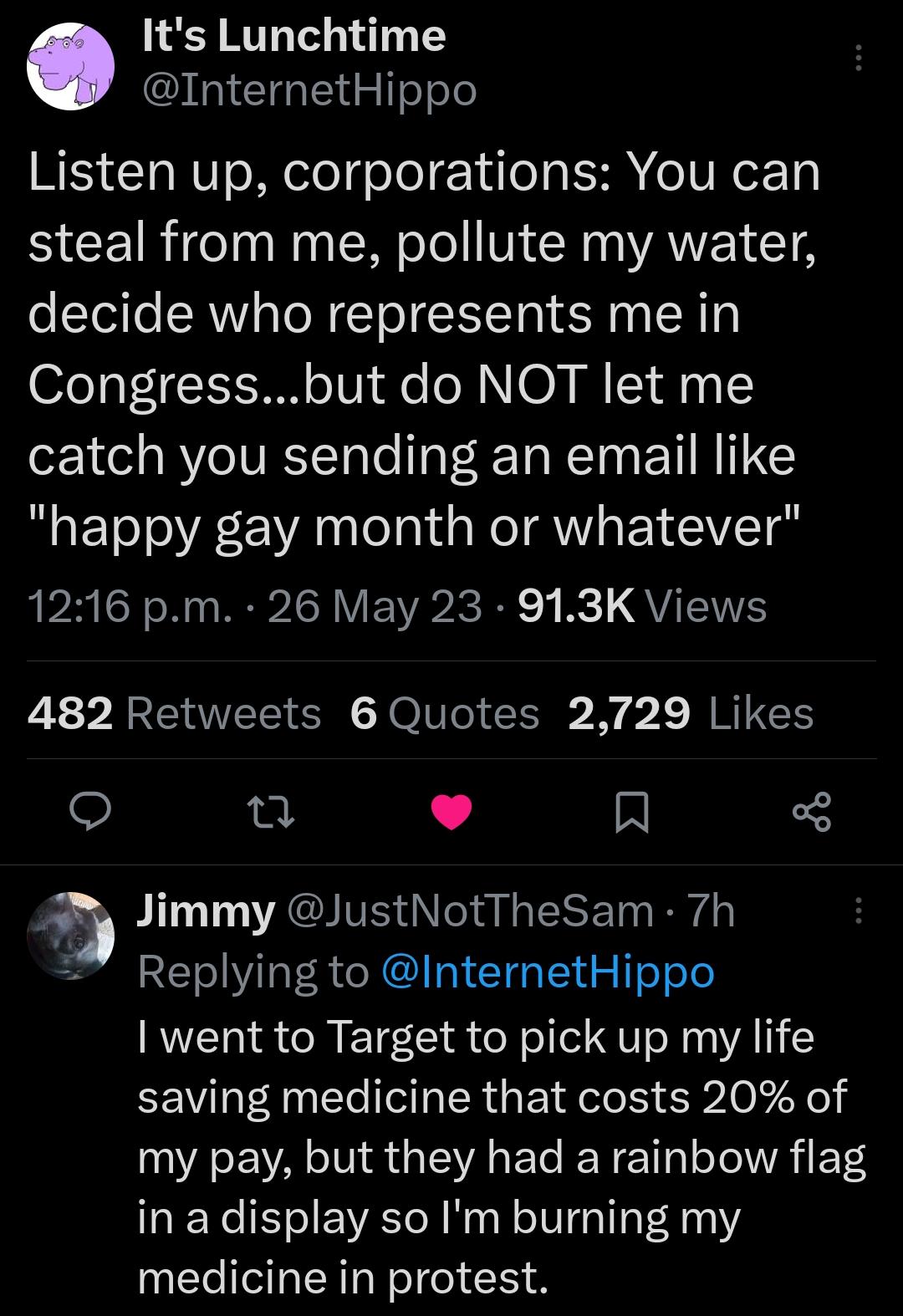 Its Lunchtime I CIGTE G esle Listen up corporations You can steal from me pollute my water decide who represents me in o213 FE TV e N NO T 0 I catch you sending an email like BT E E ANl Ta RN EVCEIVET o RN IRV Rvic R B QVITEWTE 482 Retweets 6 Quotes 2729 Likes o 0 L 4 R a Jimmy JustNotTheSam 7h Replying to InternetHippo went to Target to pick up my life saving medicine that costs 20 of my pay but 