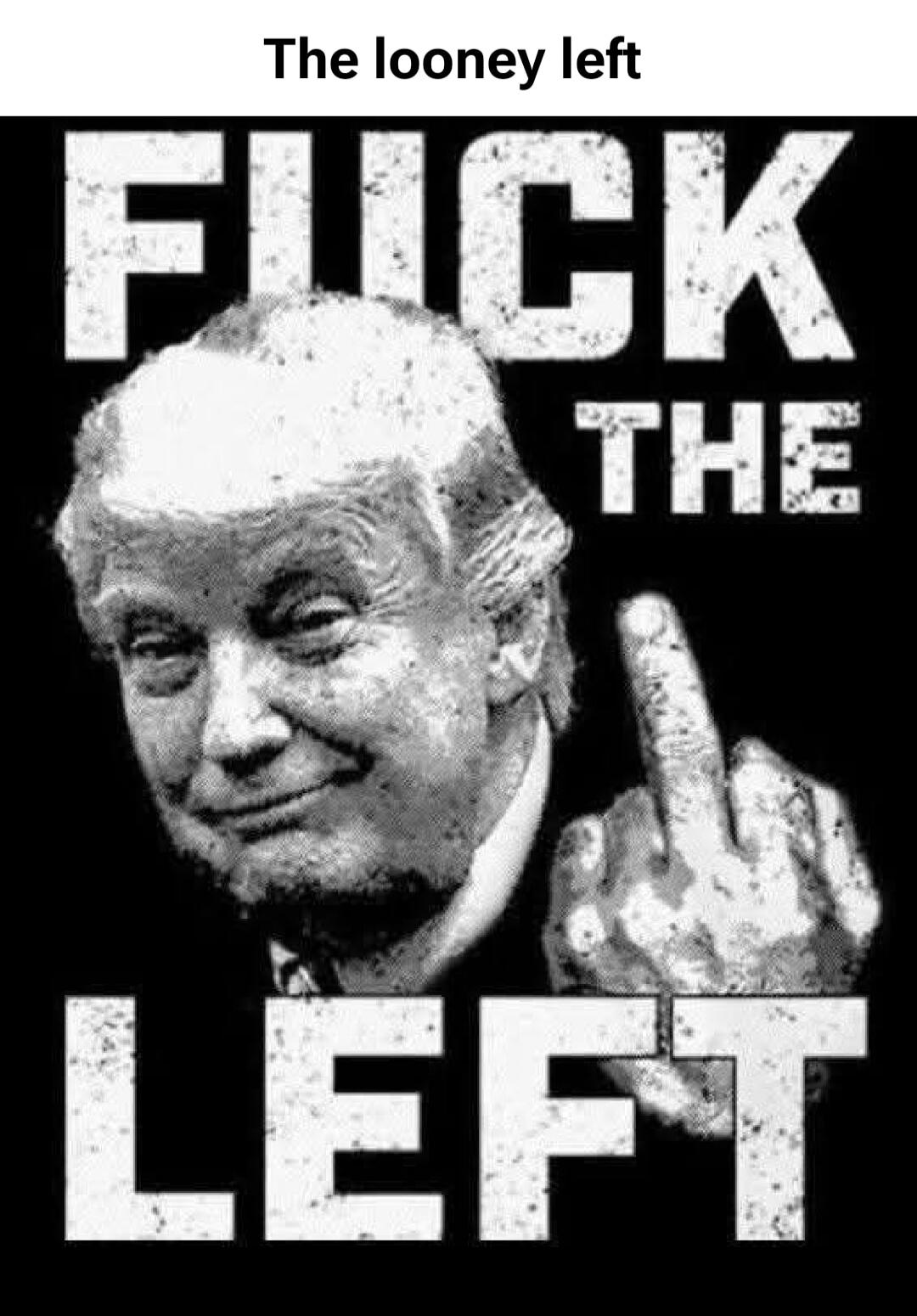 The looney left FUCK THE LEFT