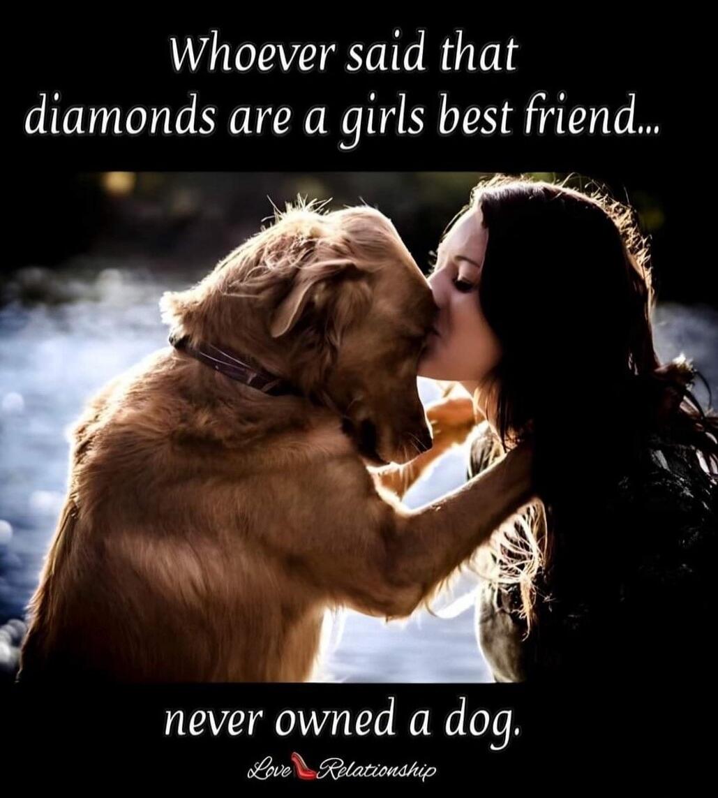 Whoever said that diamonds are a girls best friend... never owned a dog. Love Relationship