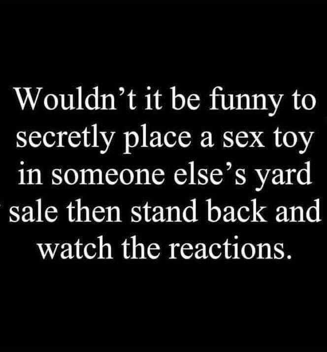 Wouldnt it be funny to secretly place a sex toy in someone elses yard sale then stand back and watch the reactions