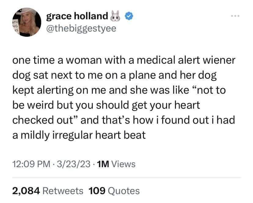 grace holland Y othebiggestyee one time a woman with a medical alert wiener dog sat next to me on a plane and her dog kept alerting on me and she was like not to be weird but you should get your heart checked out and thats how i found out i had amildly irregular heart beat 1209 PM 32323 1M Views 2084 Retweets 109 Quotes