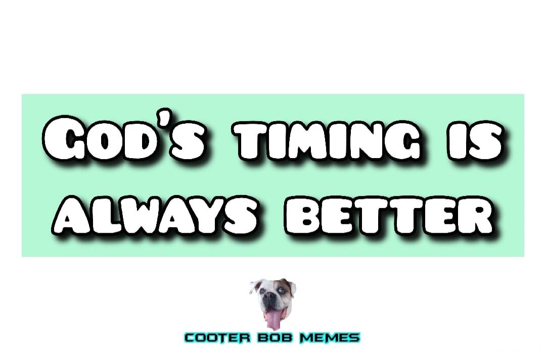 GOD'S TIMING IS ALWAYS BETTER COOTER BOB MEMES