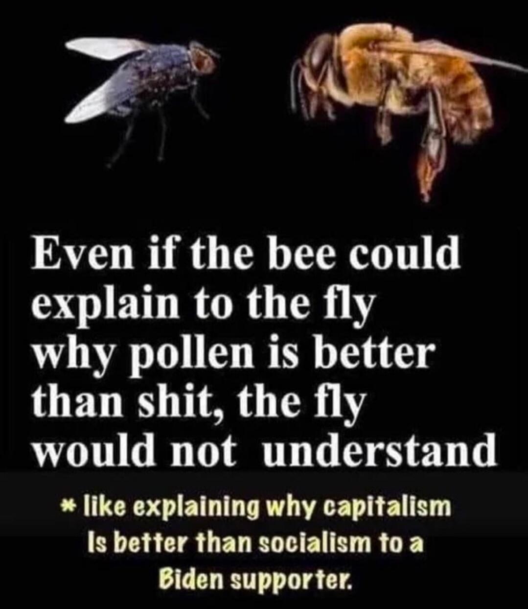Even if the bee could explain to the fly why pollen is better than shit, the fly would not understand * like explaining why capitalism is better than socialism to a Biden supporter.