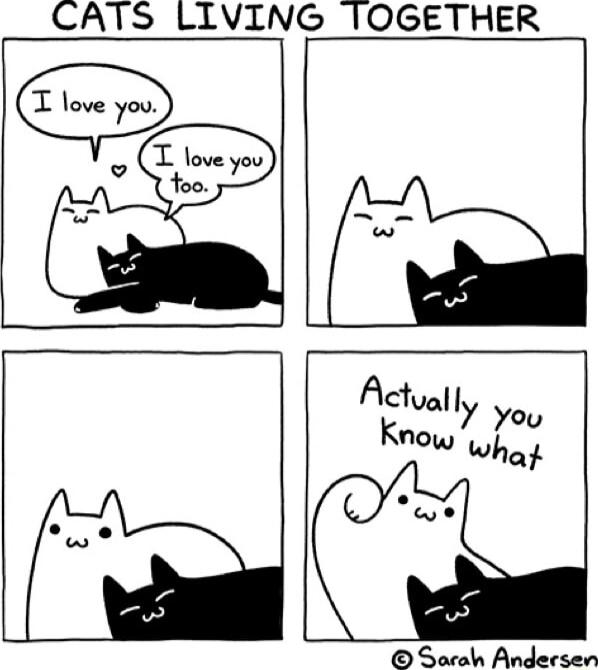 CATS LIVING TOGETHER Afually you W ot Socoh Andersen