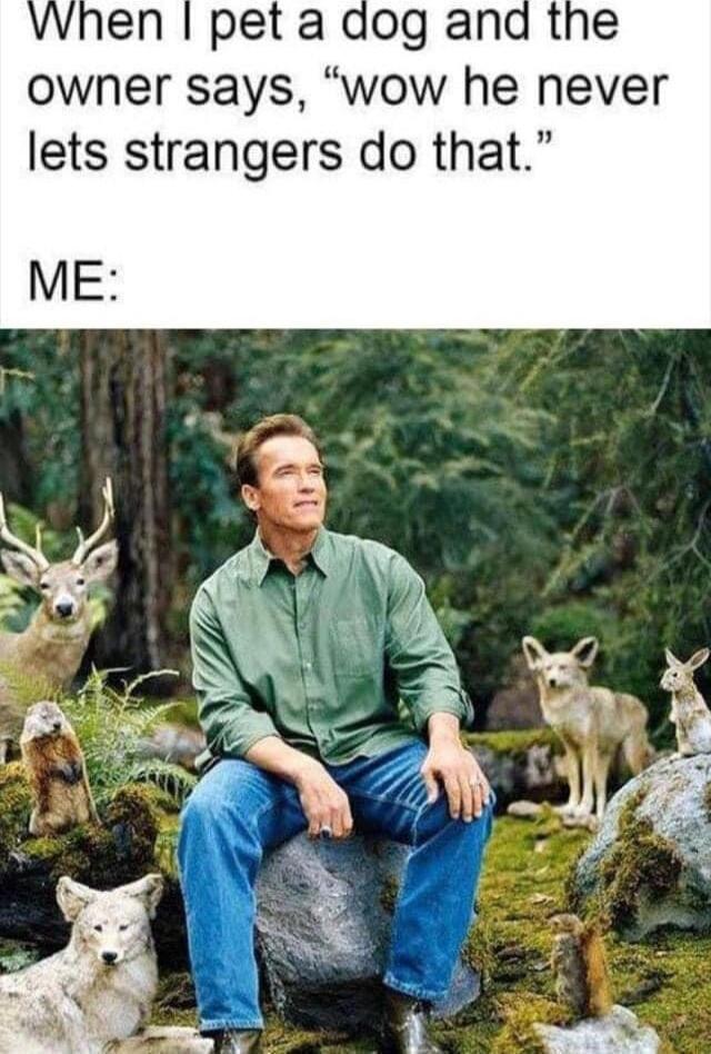 when pet a dog and the owner says wow he never lets strangers do that