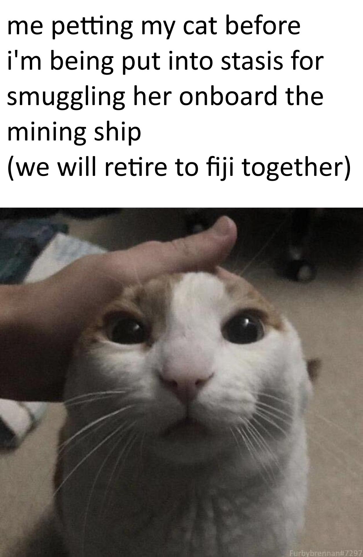 me petting my cat before im being put into stasis for smuggling her onboard the mining ship we will retire to fiji together