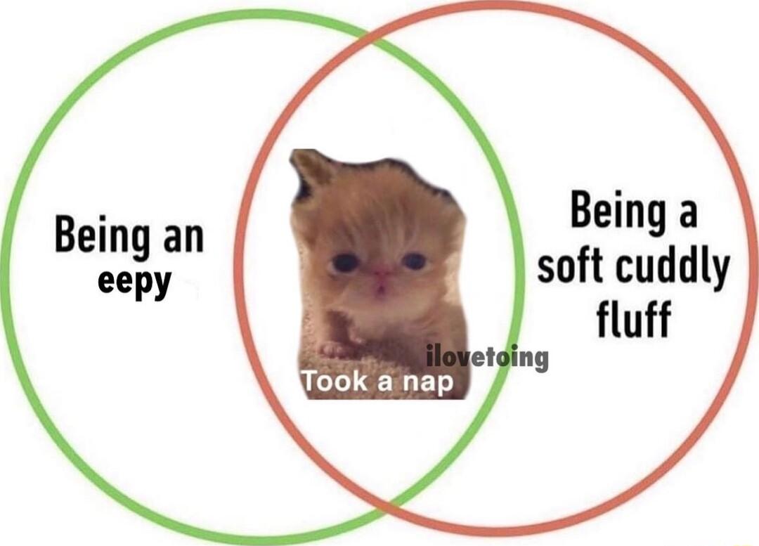 eepy soft cuddly fluff ey
