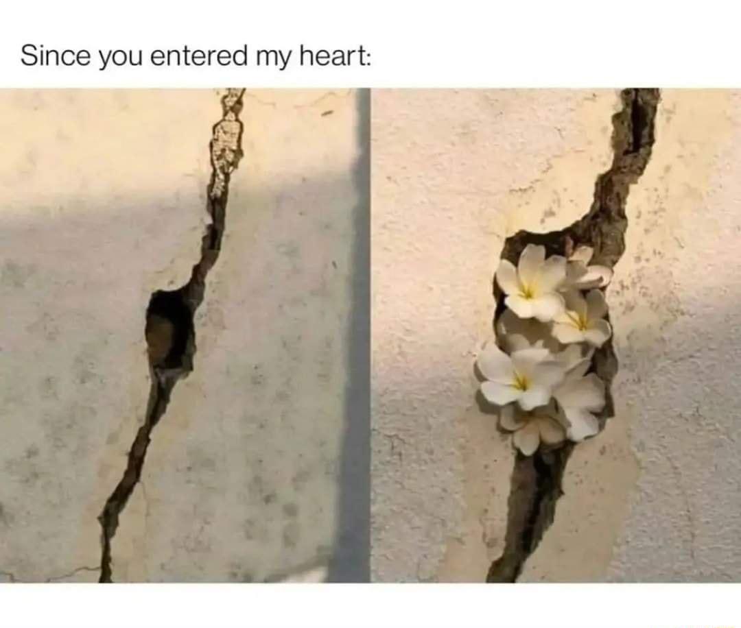 Since you entered my heart