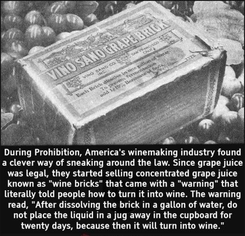 During Prohibition Amerla s winemaking mdustry found EXC O RAVEVRG R CEID L ETGITL T R G CR EVARST T T LT was legal they started selling concentrated grape juice known as wine bricks that came with a warning that GETEINR TGN Y VA CR TG AL AL ER G ERTE TG T T read After dissolving the brick in a gallon of water do LU ELCR RGN RLEN T ENEVALRGERETLLEETG R S twenty days because then it will turn into 