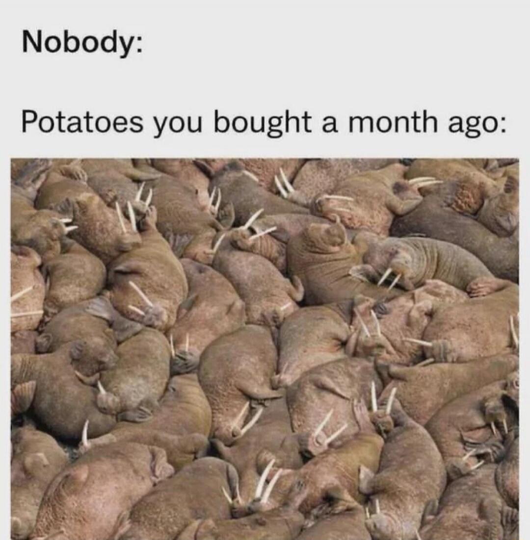 Nobody: Potatoes you bought a month ago: