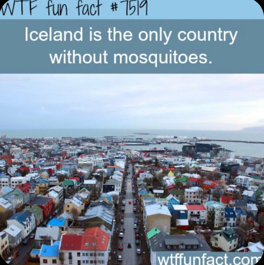 1 ETo o MER T WoTs YATo100 3 without mosquitoes g Lo I1EET R