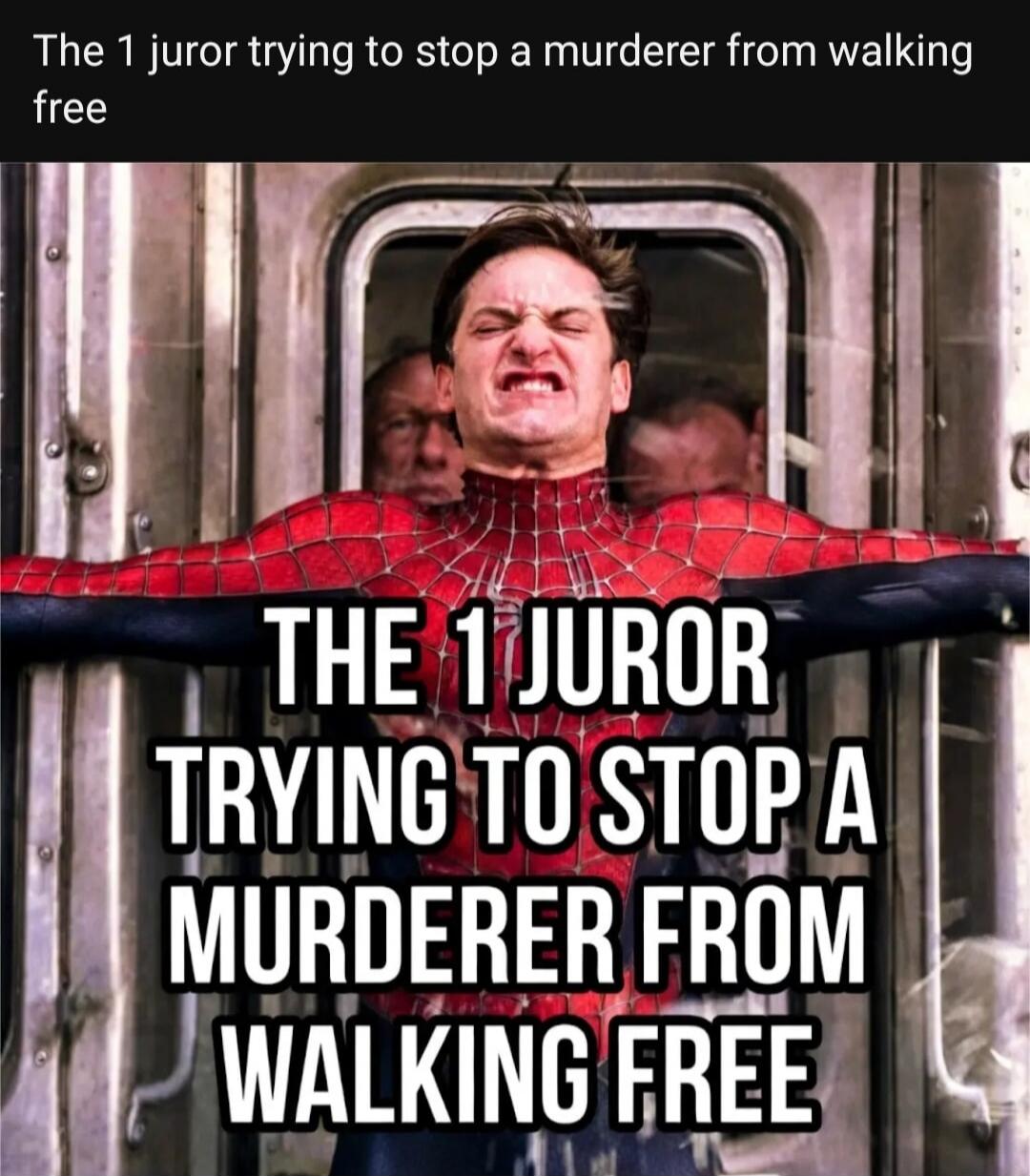 The 1 juror trying to stop a murderer from walking free. THE 1 JUROR TRYING TO STOP A MURDERER FROM WALKING FREE
