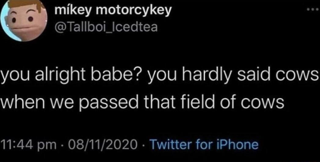 mikey motorcykey Tallboi_Icedtea OV Tep 1o o TYRV TN ETo T RelelVS when we passed that field of cows 1144 pm 08112020 Twitter for iPhone