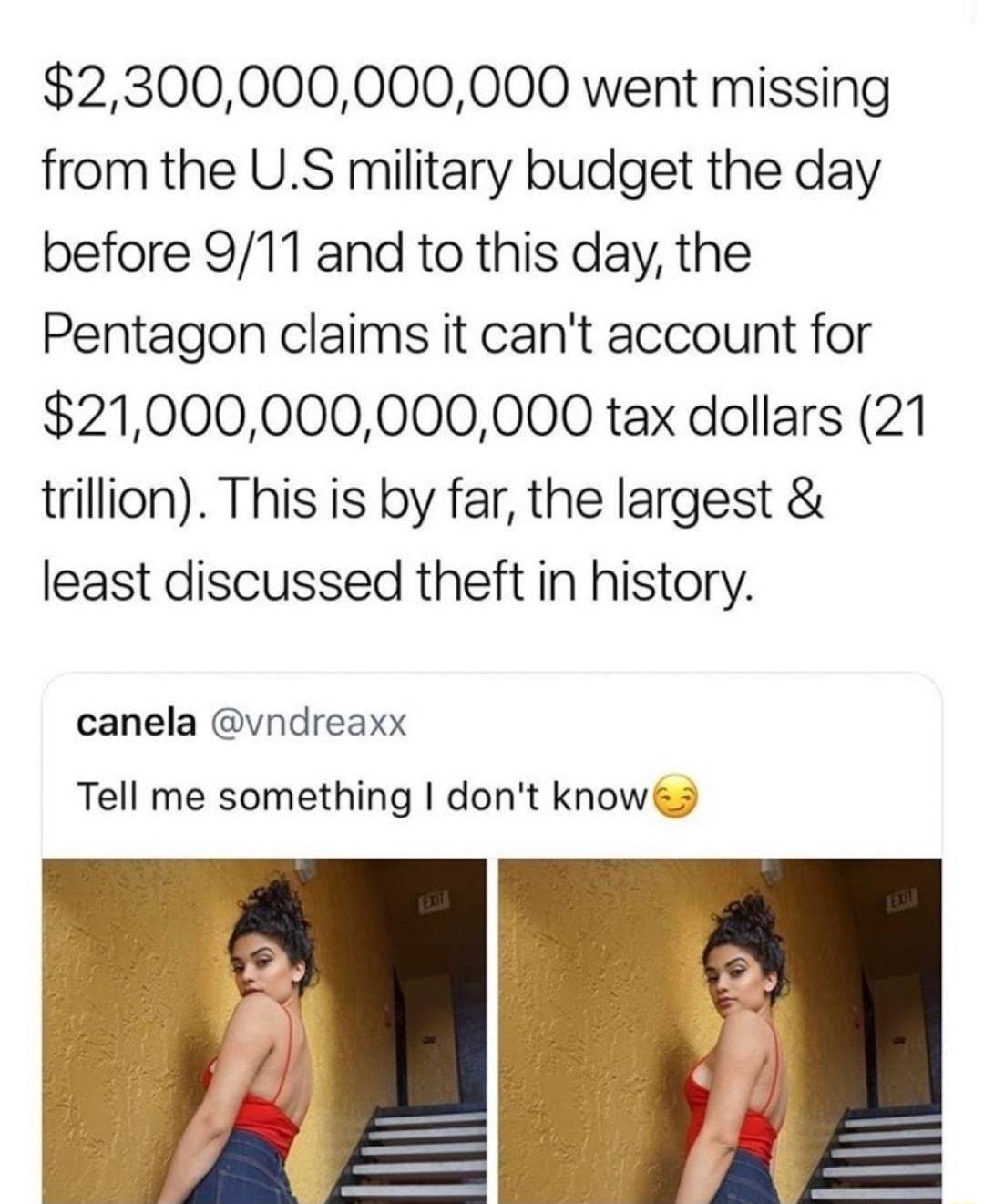 2300000000000 went missing from the US military budget the day before 911 and to this day the Pentagon claims it cant account for 21000000000000 tax dollars 21 trillion This is by far the largest least discussed theft in history canela vndreaxx Tell me something dont knows