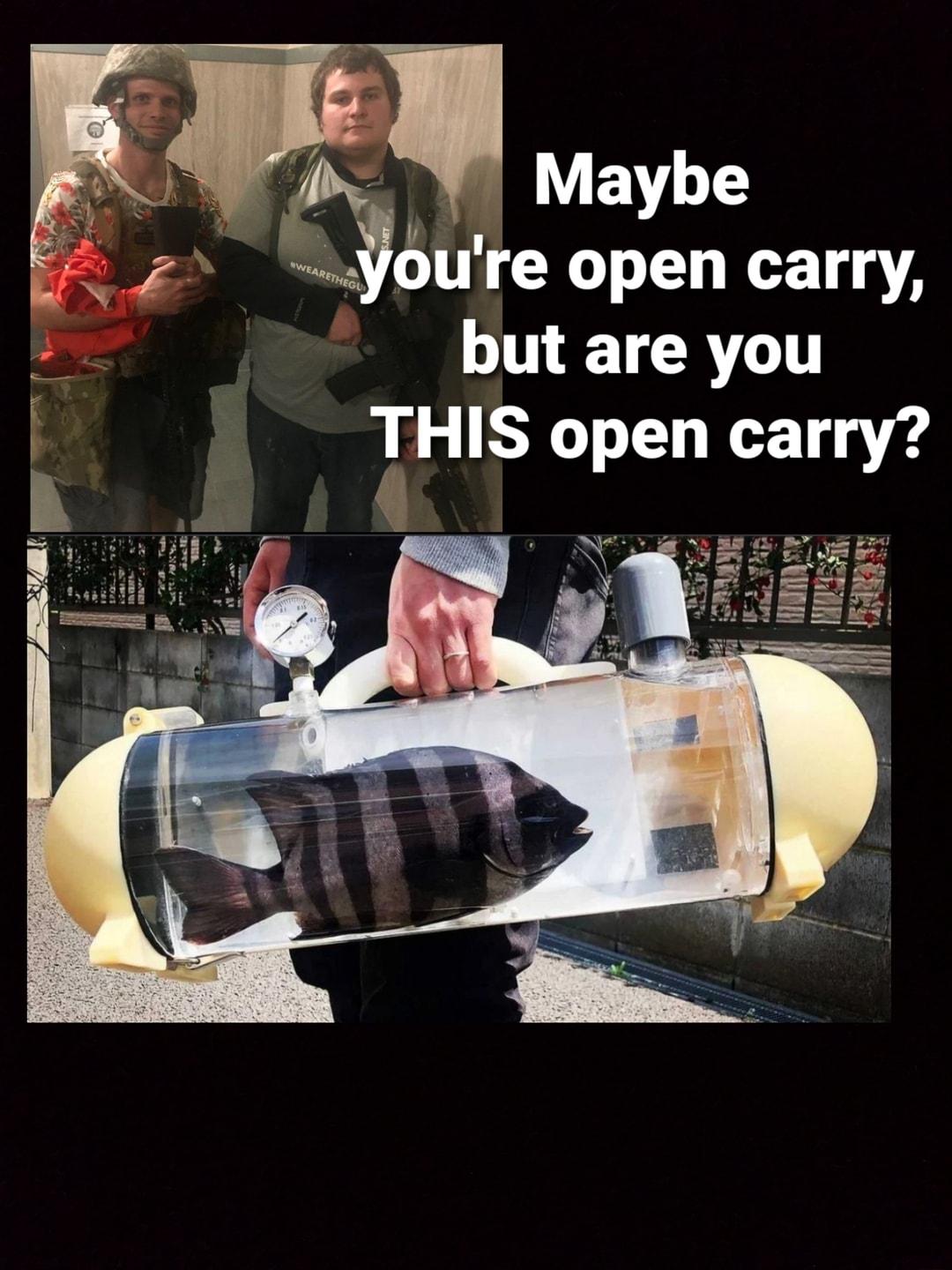 e A 4 lhg VBT 2 youre open carry s but are you THIS open carry