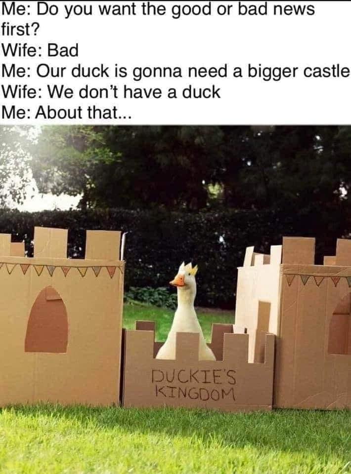 e Do you want the good or first Wife Bad Me Our duck is gonna need a bigger castle Wife We dont have a duck Me About that