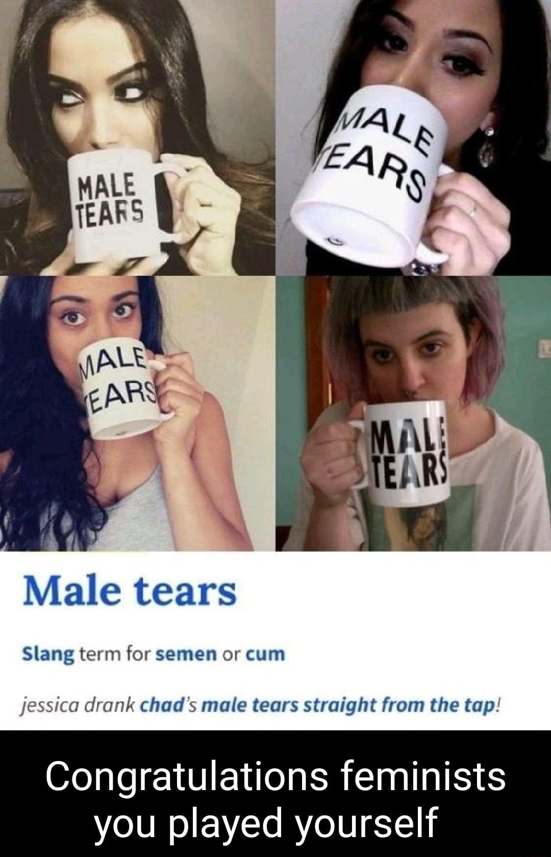 Male tears Slang term for semen or cum k chads male tears straight from the tap Congratulations feminists you played yourself