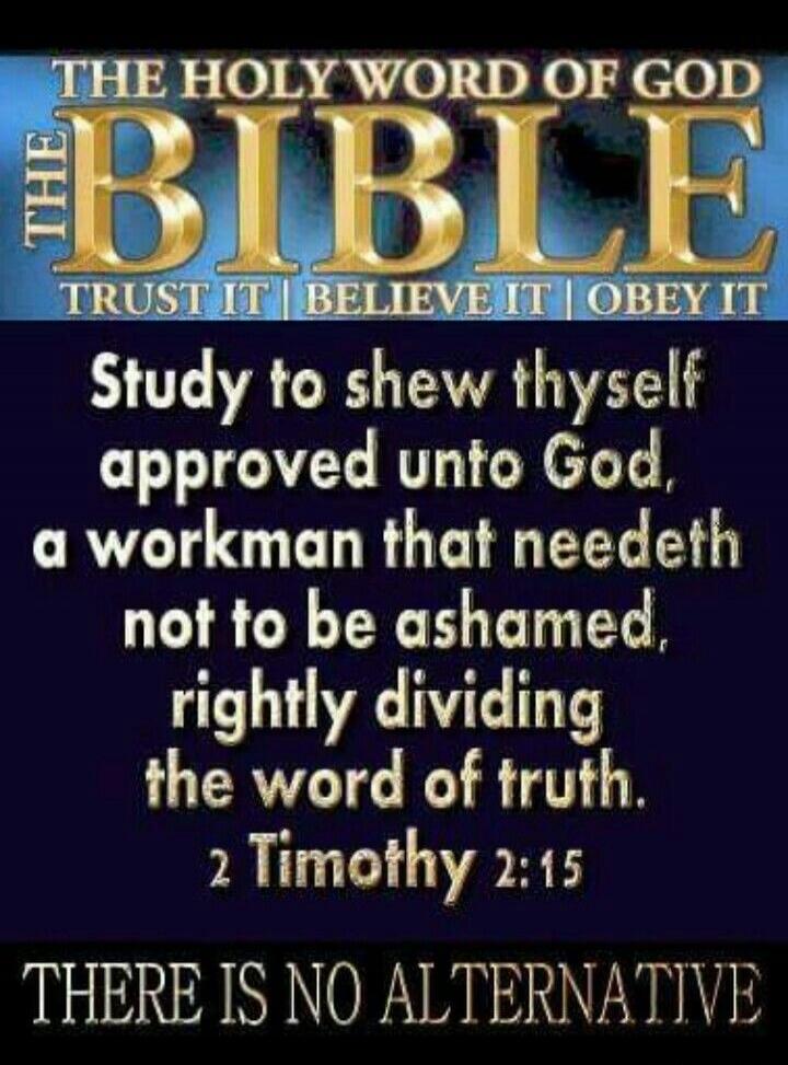 THE HOLY WORD OF GOD THE BIBLE TRUST IT BELIEVE IT OBEY IT
Study to shew thyself approved unto God, a workman that needeth not to be ashamed, rightly dividing the word of truth. 2 Timothy 2:15
THERE IS NO ALTERNATIVE