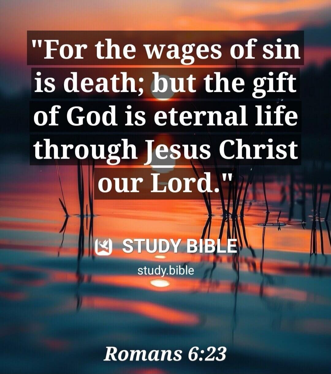 For the wages of sin is death; but the gift of God is eternal life through Jesus Christ our Lord. STUDY BIBLE study.bible Romans 6:23