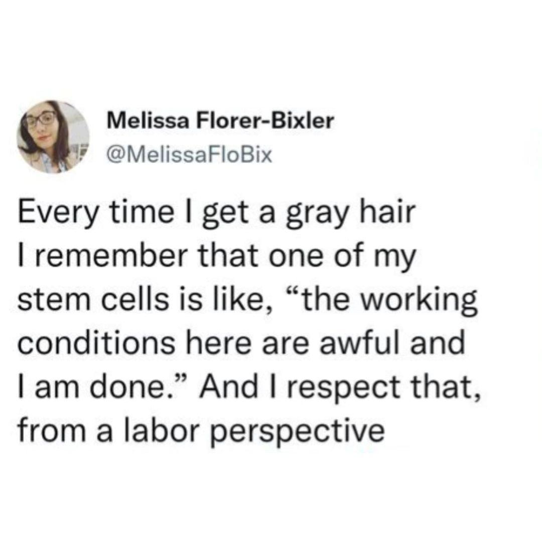 Melissa Florer Bixler MelissaFloBix Every time get a gray hair remember that one of my stem cells is like the working conditions here are awful and am done And respect that from a labor perspective