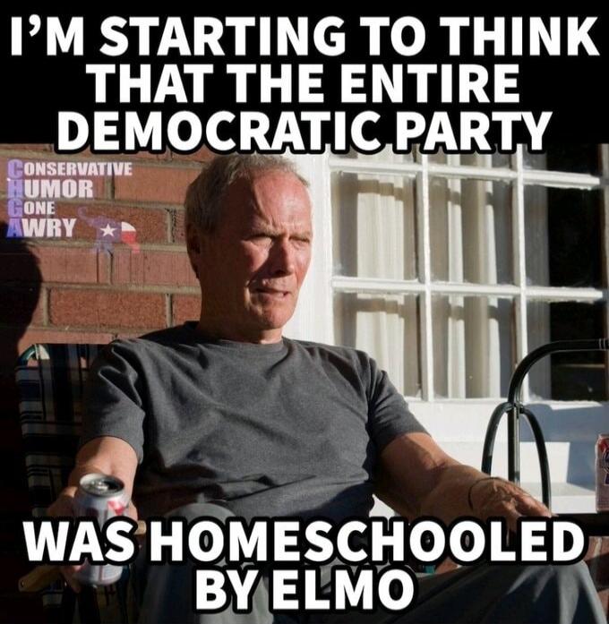 I'M STARTING TO THINK THAT THE ENTIRE DEMOCRATIC PARTY WAS HOMESCHOOLED BY ELMO. CONSERVATIVE HUMOR GONE AWRY.