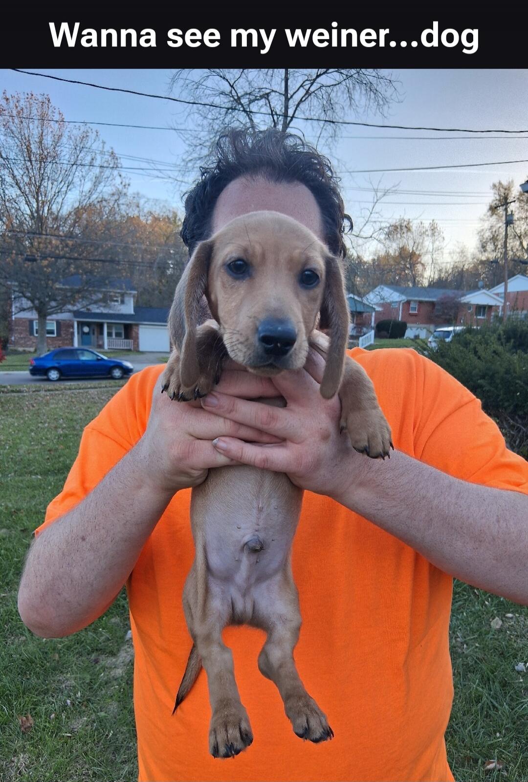 Wanna see my weiner...dog