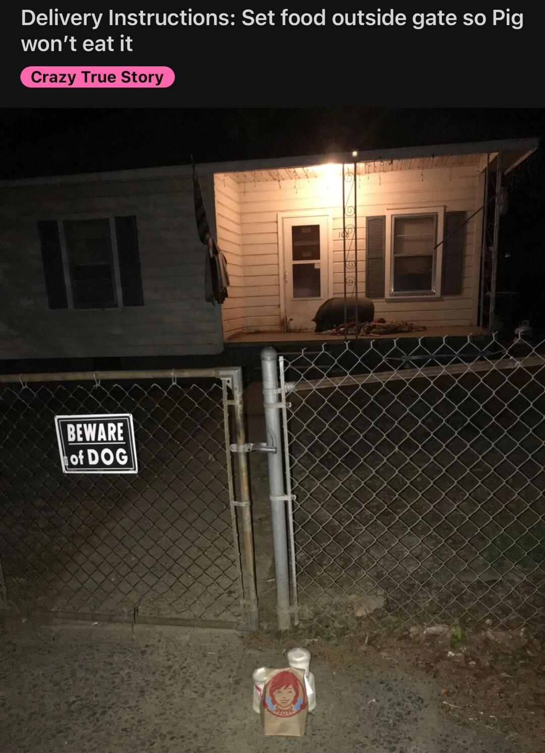 Delivery Instructions Set food outside gate so Pig wont eat it y True Story