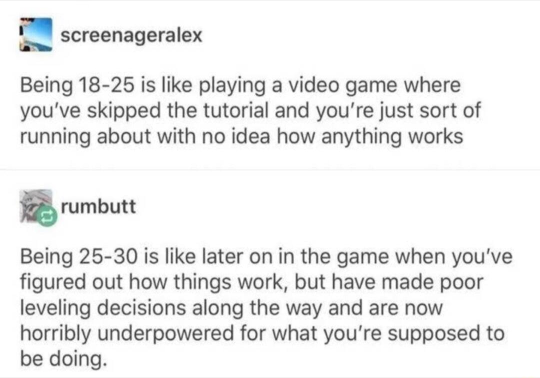screenageralex Being 18 25 is like playing a video game where youve skipped the tutorial and youre just sort of running about with no idea how anything works rumbutt Being 25 30 is like later on in the game when youve figured out how things work but have made poor leveling decisions along the way and are now horribly underpowered for what youre supposed to be doing