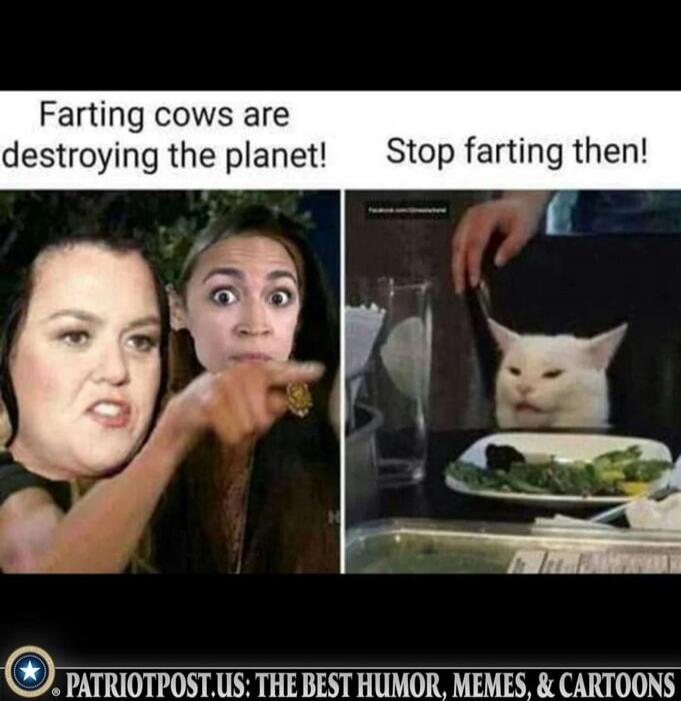 Farting cows are destroying the planet! Stop farting then! PATRIOTPOST.US: THE BEST HUMOR, MEMES, & CARTOONS