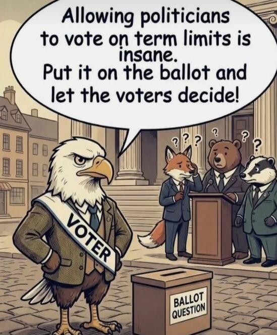 Allowing politicians to vote on term limits is insane. Put it on the ballot and let the voters decide! VOTER. BALLOT QUESTION.