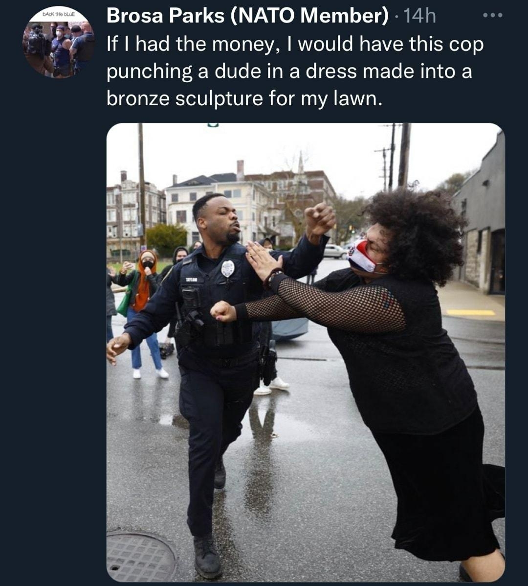 Brosa Parks NATO Member 14h If had the money would have this cop punching a dude in a dress made into a bronze sculpture for my lawn
