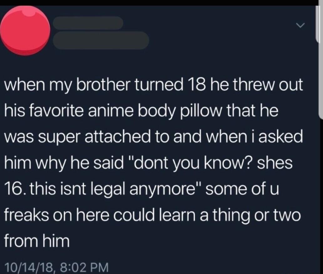 when my brother turned 18 he threw out his favorite anime body pillow that he was super attached to and when i asked him why he said dont you know shes MR OGNSt E e lelCRilelay X e Y freaks on here could learn a thing or two from him 101418 802 PM