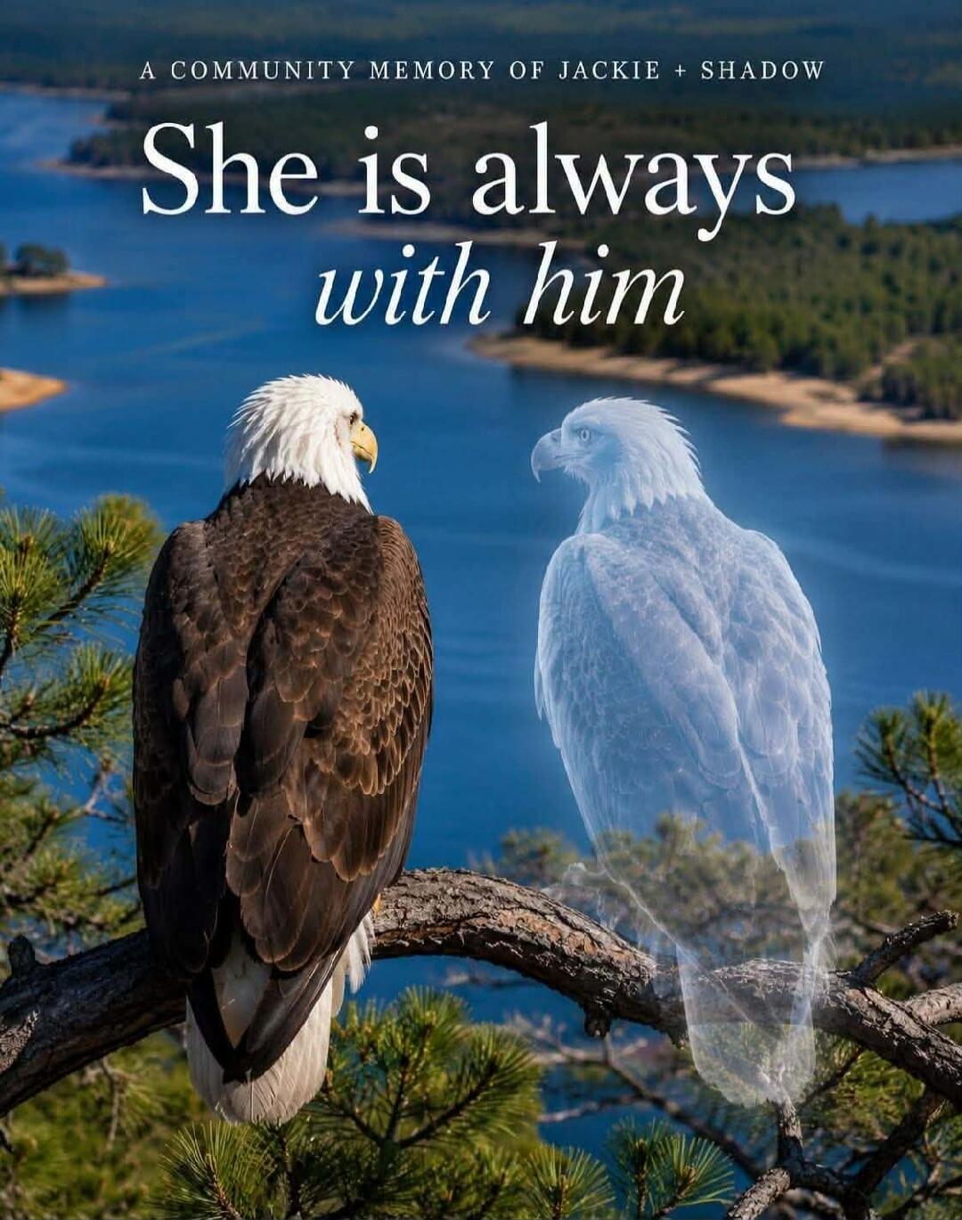 A COMMUNITY MEMORY OF JACKIE + SHADOW She is always with him